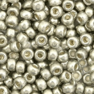 Miyuki seed beads 6/0 - Duracoat galvanized light pewter silver 6-4221